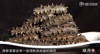 孝敬父母，為何首選海參？